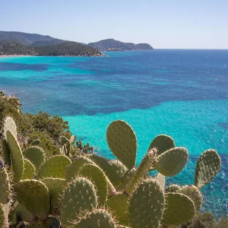 Apartment Le Scale Sul Porto . Marina Centro Storico. Ac Cagliari